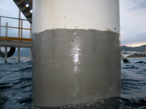 Above and below water coated with Belzona 5831 (ST-Barrier)